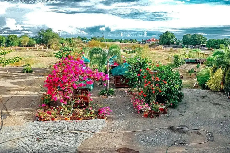 Airport View Hotel