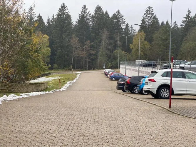 Schwarzwald Wohnung Kniebis