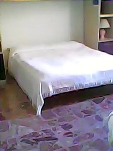 B&B Camelie