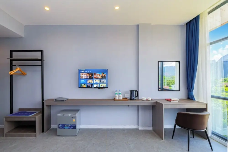 Standard Twin room with city view