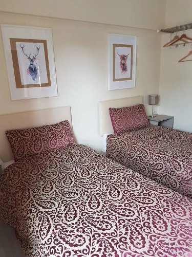 Luxury Twin room