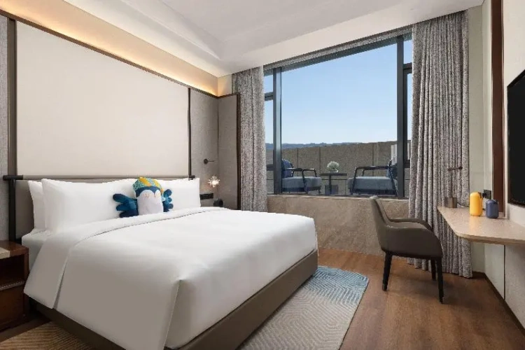 Standard Suite