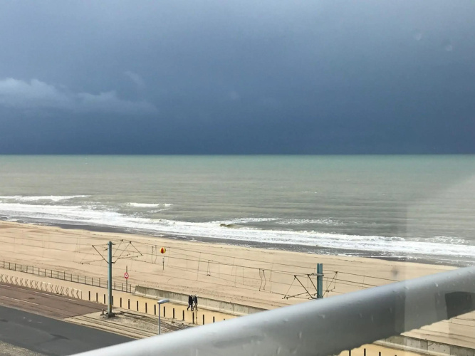 Into the Sea