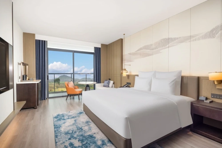 Deluxe Double Club room with garden view