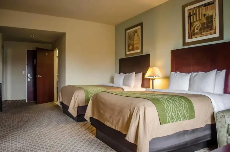Standard Quadruple room