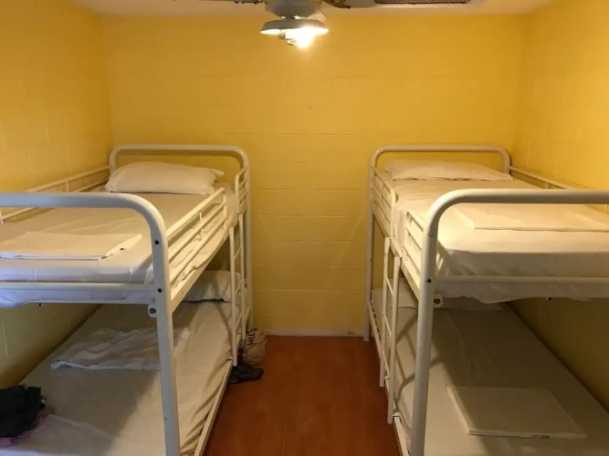 Bed in Dorm