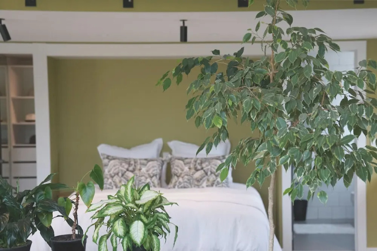 Te Arai Lodge