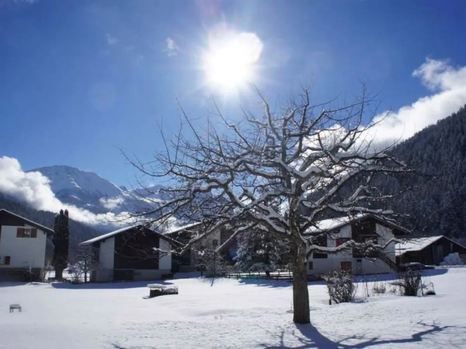 Apartment Sweda Fiesch