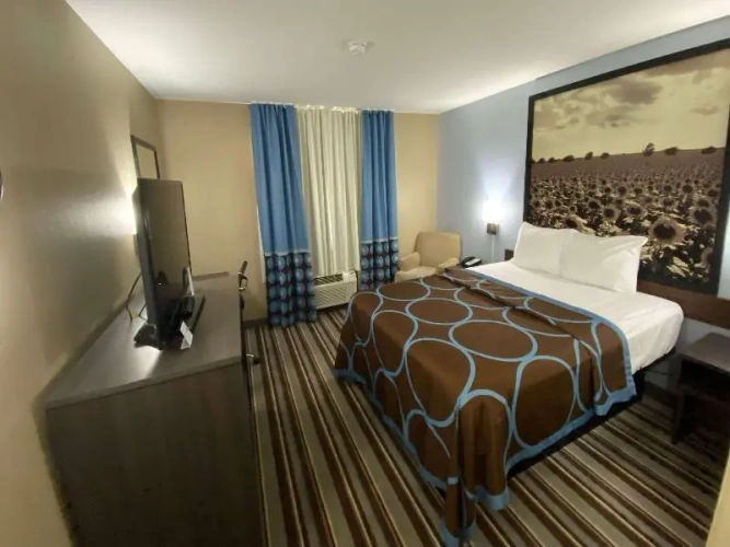 Standard Suite