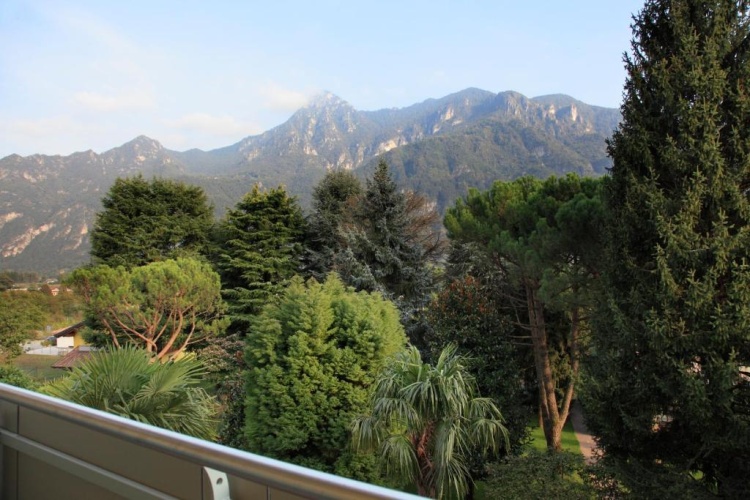 Standard Triple room with garden view