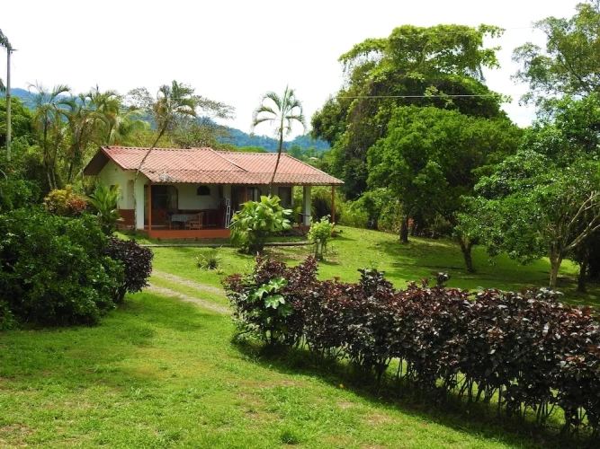 Standard Double room with garden view