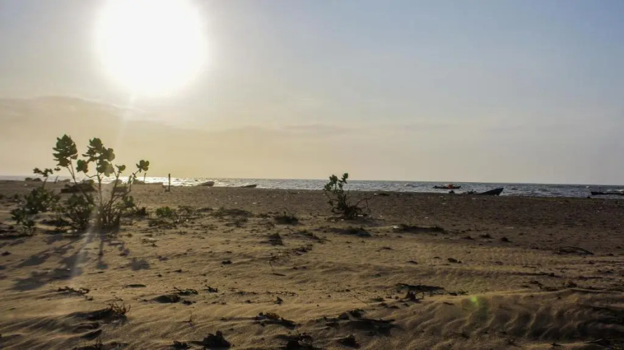 Playa Samara Hostel