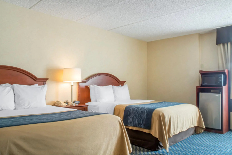 Comfort Inn Rochester - Greece
