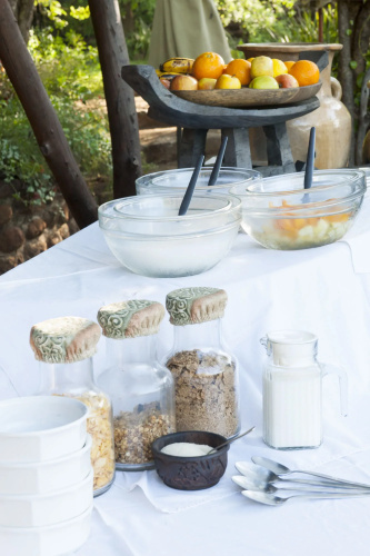 Taita Falcon Lodge