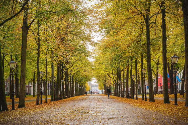 voco The Hague photo 28