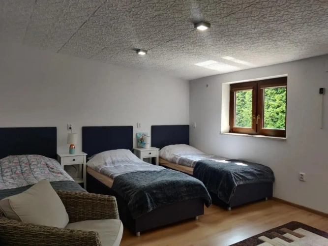 Deluxe Family room