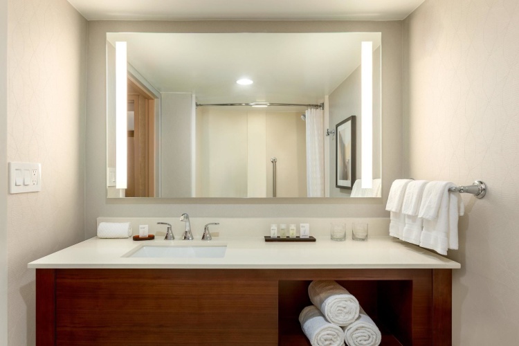 Embassy Suites by Hilton Raleigh Durham Research Triangle photo 9