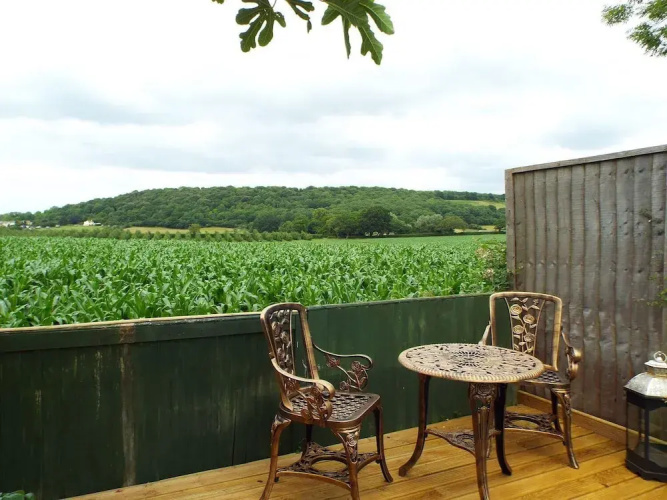 Relaxing Studio - Sauna - Luxe Bed - Pet-friendly