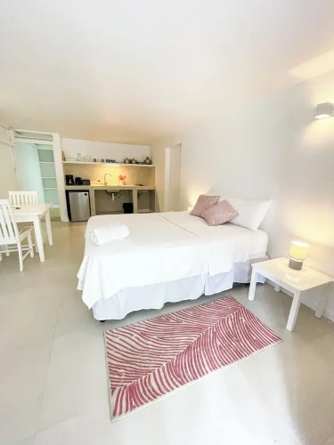 Economy Double Studio
