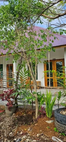 Comfort Double room with balcony and with garden view