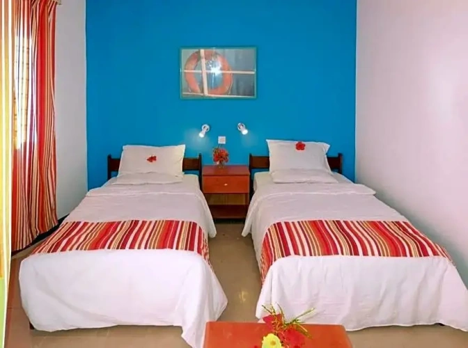 Standard Twin room with pool view