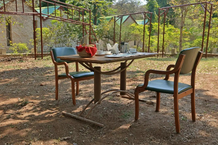 Bison Retreat - Pench