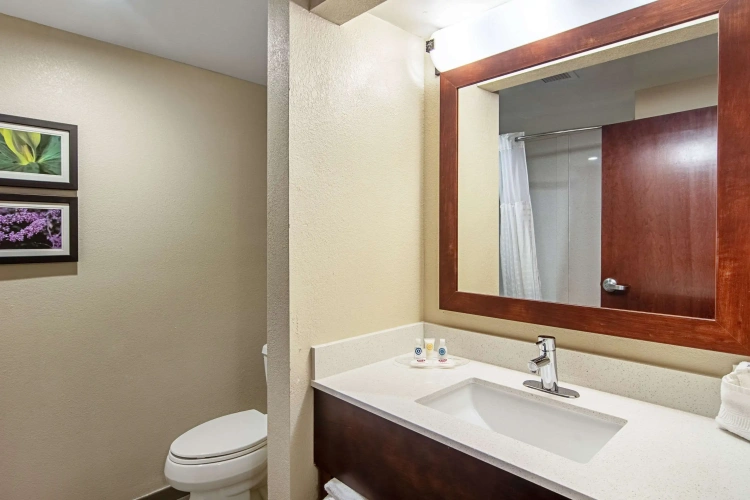 Quadruple Suite