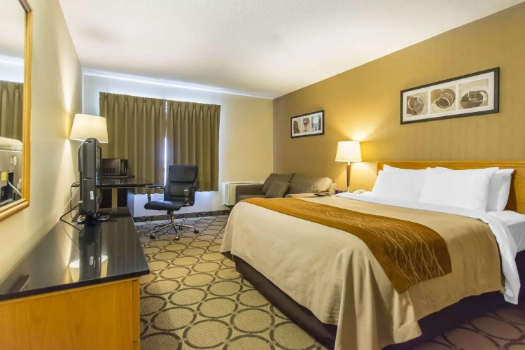 Standard Double room