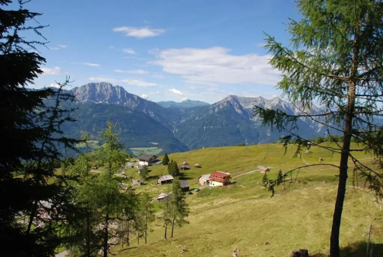 Almgasthof Fichtenheim