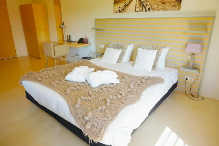 Luxury Twin room
