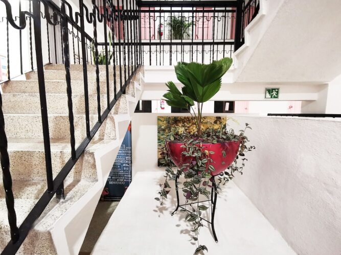 Imagen de Hotel Tropicus Boutique