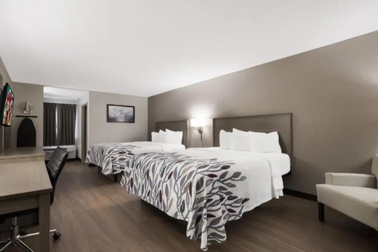 Superior Quadruple room