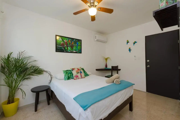 Casa Tropical