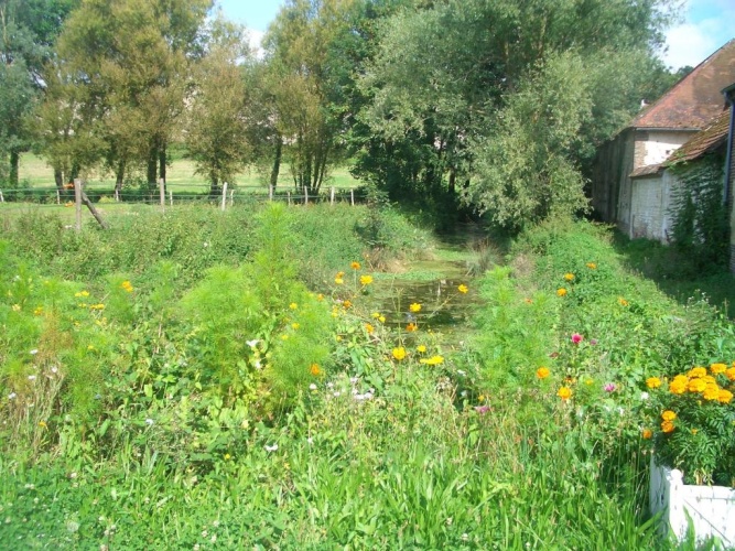 Standard Double room with garden view