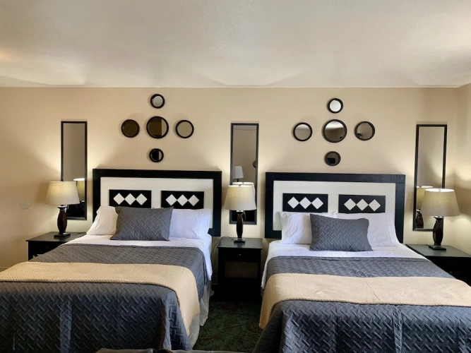 Comfort Suite