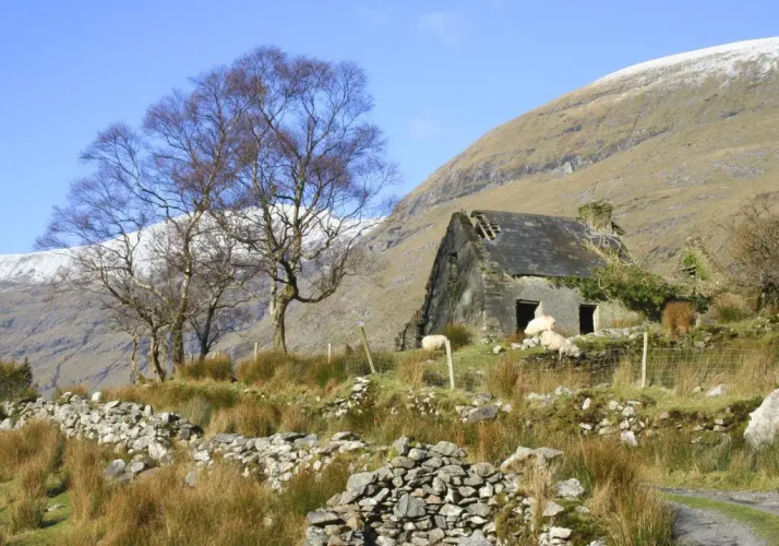 The Stone Cottage