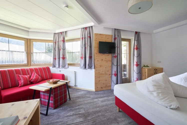 Standard Double room with balcony and with mountain view