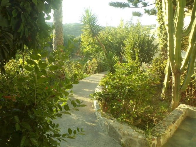 Afentoulis Studios 2