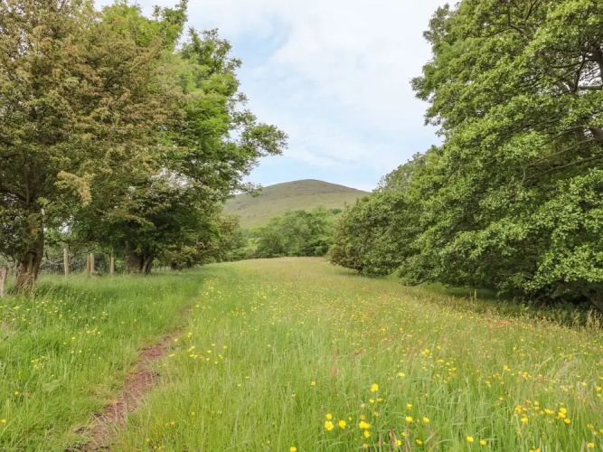 Dingle Den