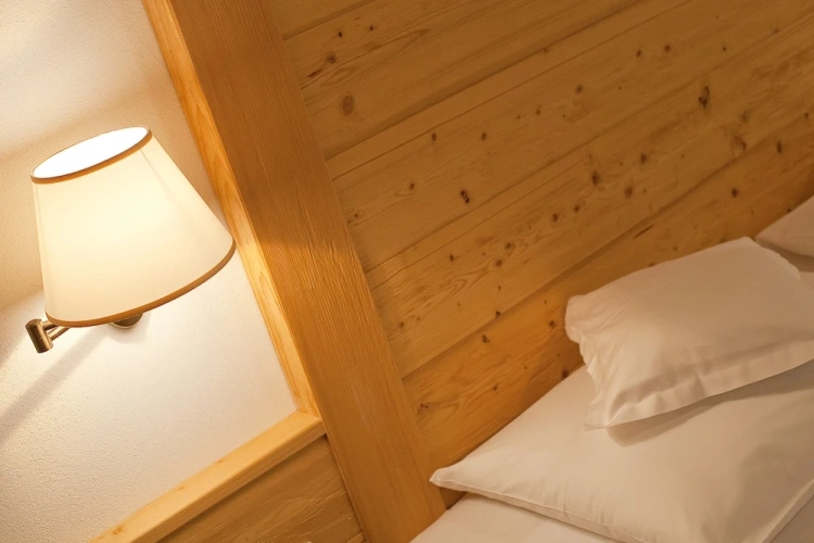 Standard Double room with balcony and with mountain view