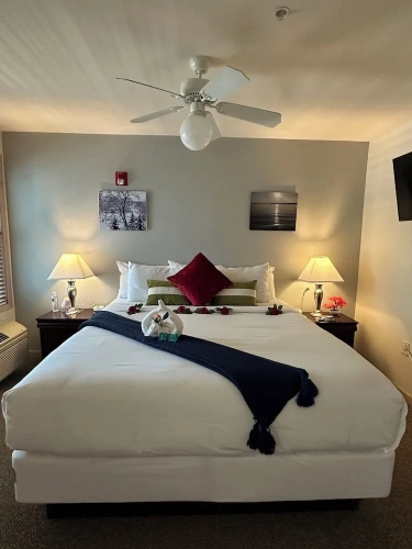 Premium Suite with balcony