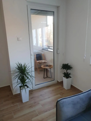 Apartment No 11