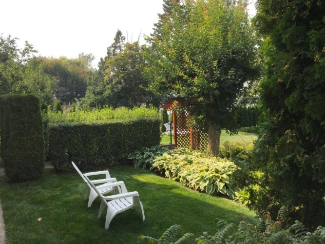 Standard Double room with garden view