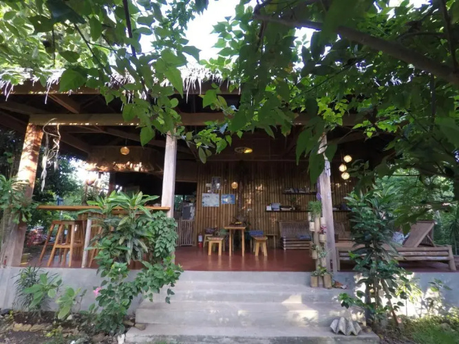 Lazy Lizard Hostel