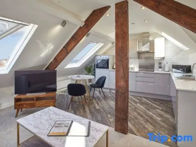 1 Bedroom Apartment