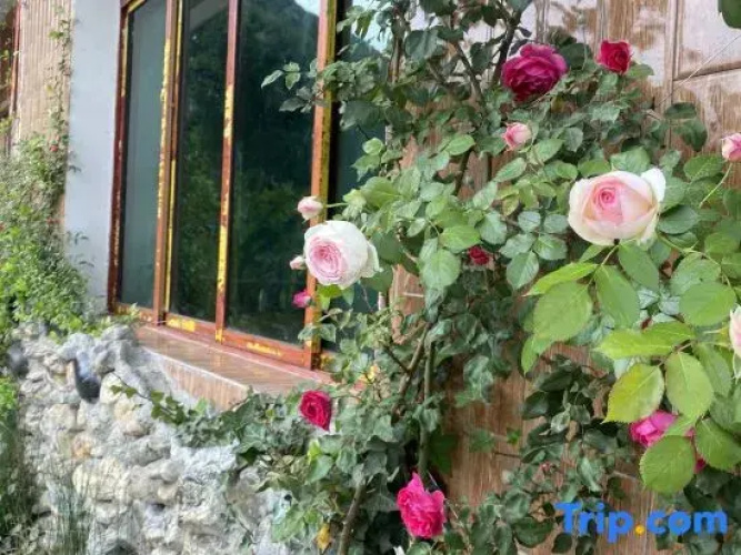 Yueziju Homestay