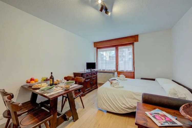 Standard Studio with balcony and with mountain view