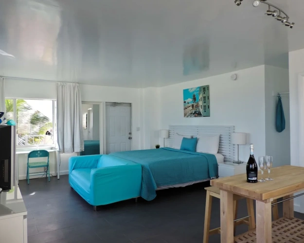 Deluxe Double Suite with ocean view