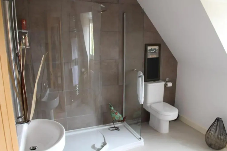 Luxury Apartment