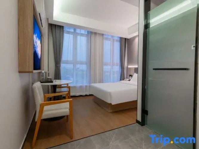 Standard Single room with view